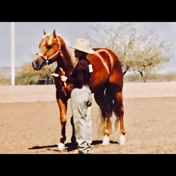 My Fab Four legged babies! Thanks for stopping by! - Picture 3 of 9
